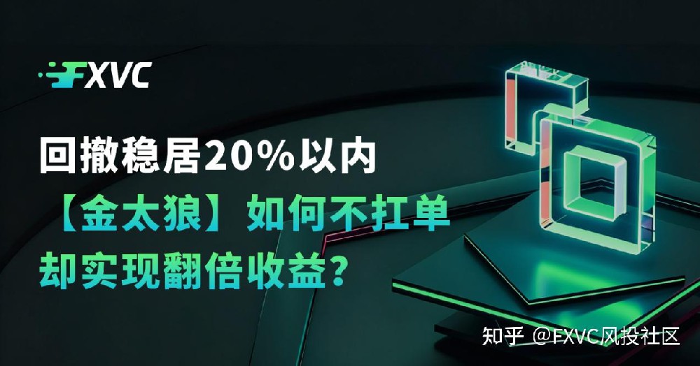回撤稳居20%以内，【金太狼】如何不扛单